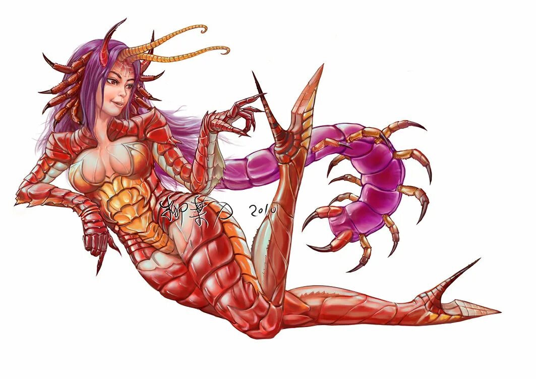 Женщина сороконожка. Monster insect art anime сколопендра. Тату многоножка. Женщина сороконожка. Женщина сороконожка.