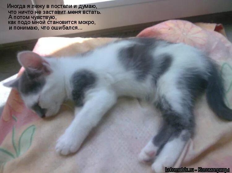 Текст песни мчится конь подо мной. Мчится конь подо мной по широкой. Фотосессия в воде. Стихи с матом. Борьба с бессонницей.