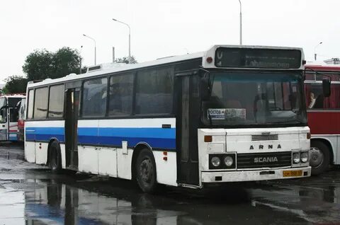Ростов сальск автовокзал главный