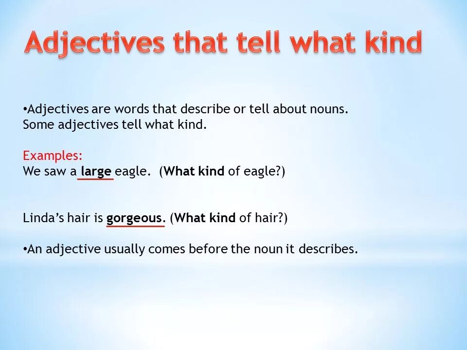 Kind прилагательное. Вопросы с what kind of. What kind of примеры вопросов. What is adjective. Предложения с what kind вопросительные.