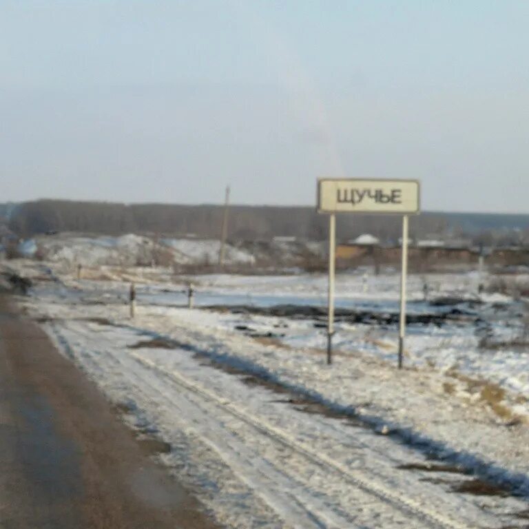 Тюмень щучье. Щучье Воронежская область Эртильский район. Село Щучье Эртильского района. Село Щучье Воронежская область Эртильский. Воронеж Эртильский район село Щучье.