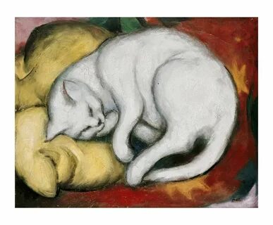 Cat mark