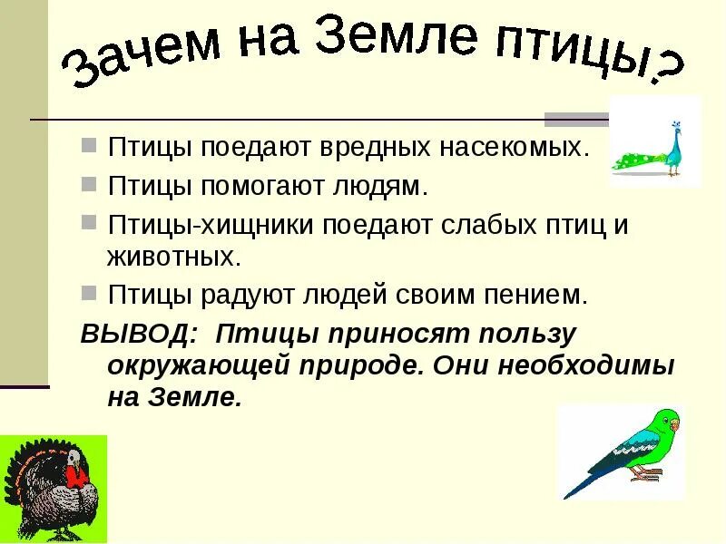 Зачем птицам. Какую пользу приносят птицы природе. Люди помогают птицам. Польза птиц. Польза птиц в природе.