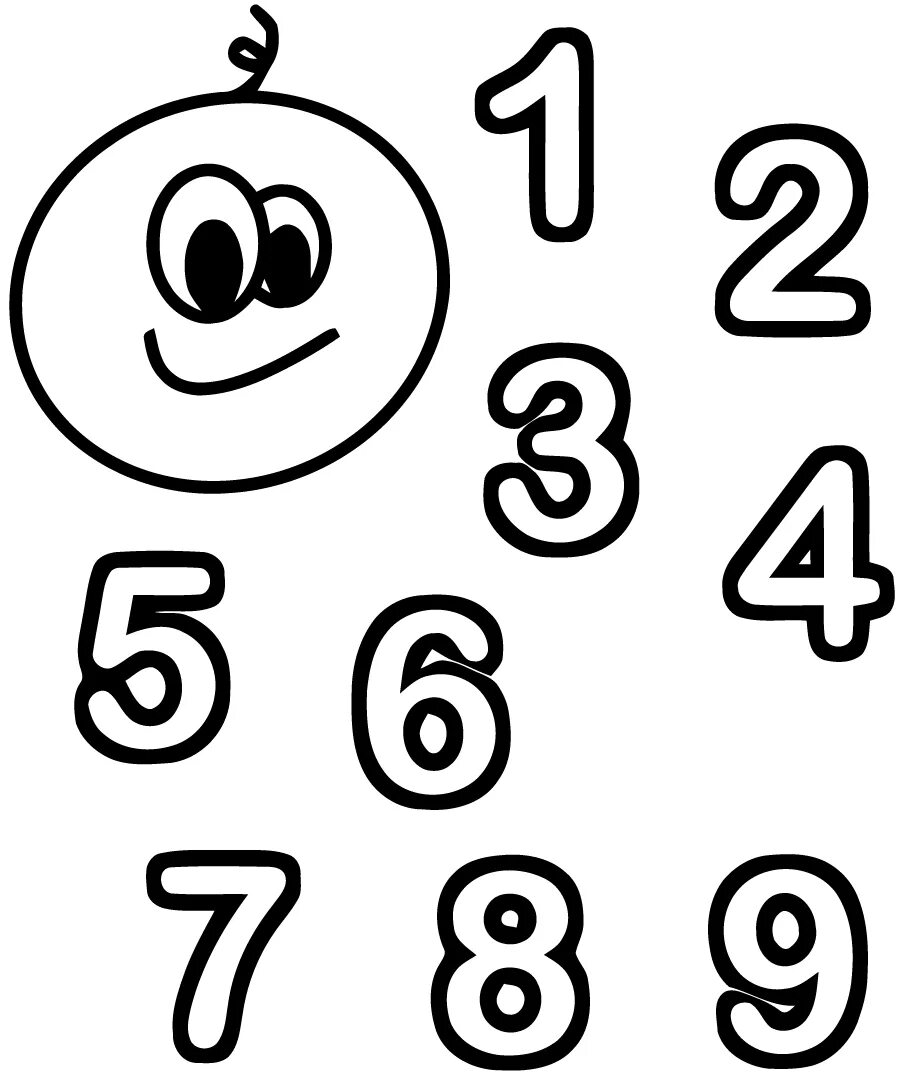 Drawing number