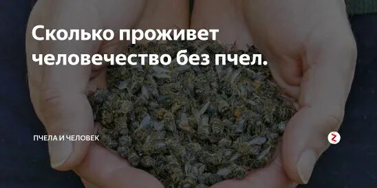 Сколько жить осталось все. Сколько осталось жить человечеству. Сколько осталось жить человечеству на земле. Сколько еще проживет человечество. Сколько ещё будет жить человечество.