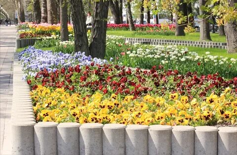 В цвет новороссийск