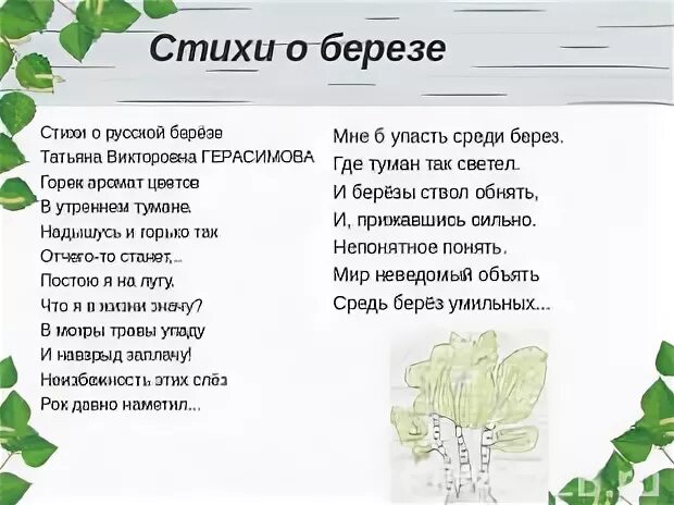Мысль стихотворения березы. Мысль стихотворения березы