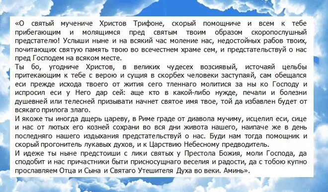 Молитва вашему святому. Молитва божьей матери нечаянная радость. молитва божией матери нечаянная радость текст. молитва иконе нечаянная радость. молитва богородице нечаянная радость.