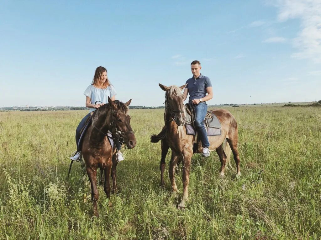 Лошади Можайск ранчо Аванпост. Ранчо Аванпост фотосессия. Можайск Конная прогулка Avanpost. Конная прогулка на лошадях в Подмосковье.