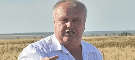 Димитриев. Димитриев виктор николаевич. агрохолдинг василина самарская. димитриев виктор николаевич президент агрохолдинга василина. виктор димитриев холдинг василина.