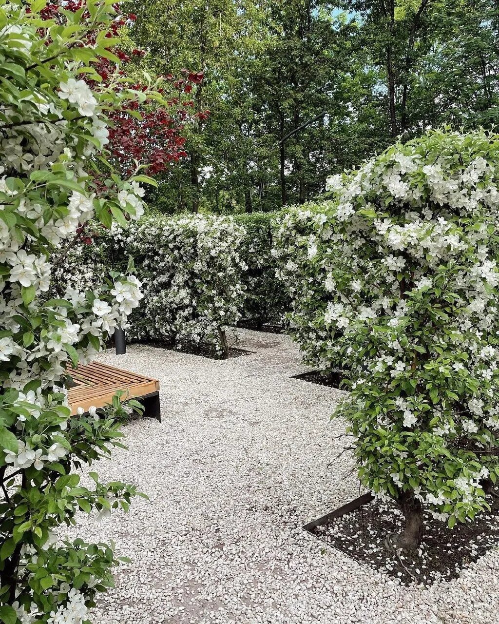 Лабиринт вднх. Лесной лабиринт на вднх. Лабиринт вднх. Зеленый лабиринт вднх. Лабиринт вднх.