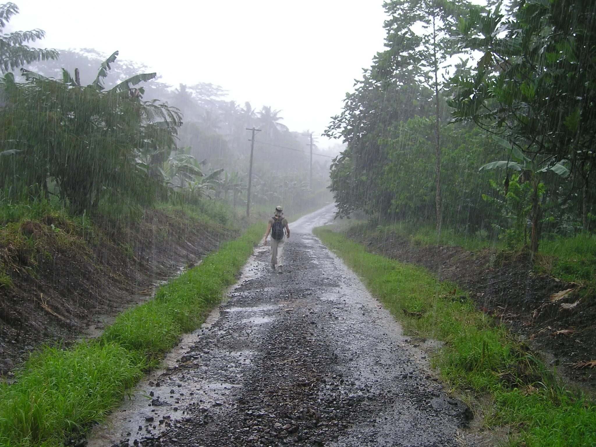 Rain area. Муссонные дожди в Индии. Муссонные леса Индии. Индийские дороги. Южная Америка дождь.