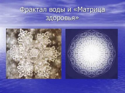Матрица здоровья