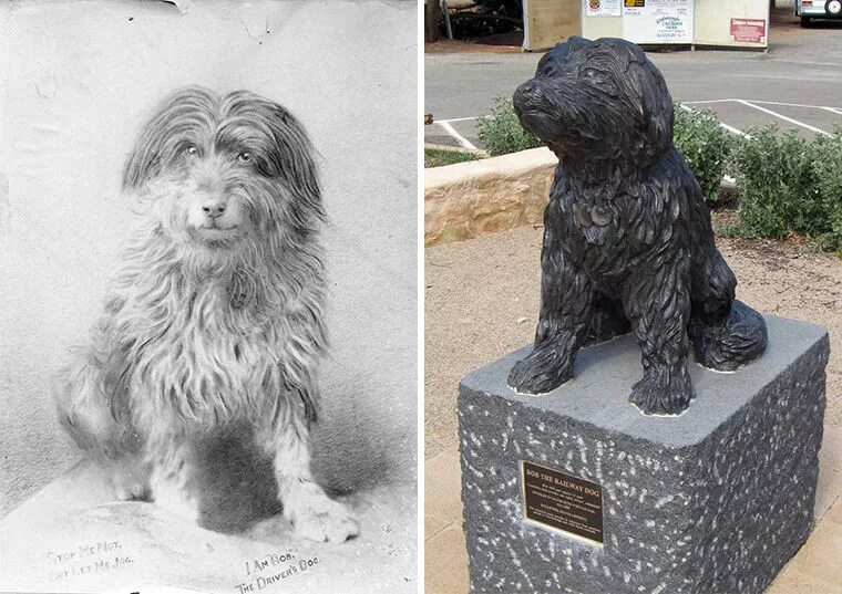 Боб Железнодорожный пес. Памятник собаке в Железнодорожном. Собака Железнодорожник. Памятник собаке в Австралии. В императорском саду живет собака глава 9