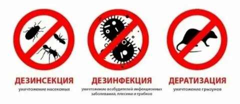 1 дератизация