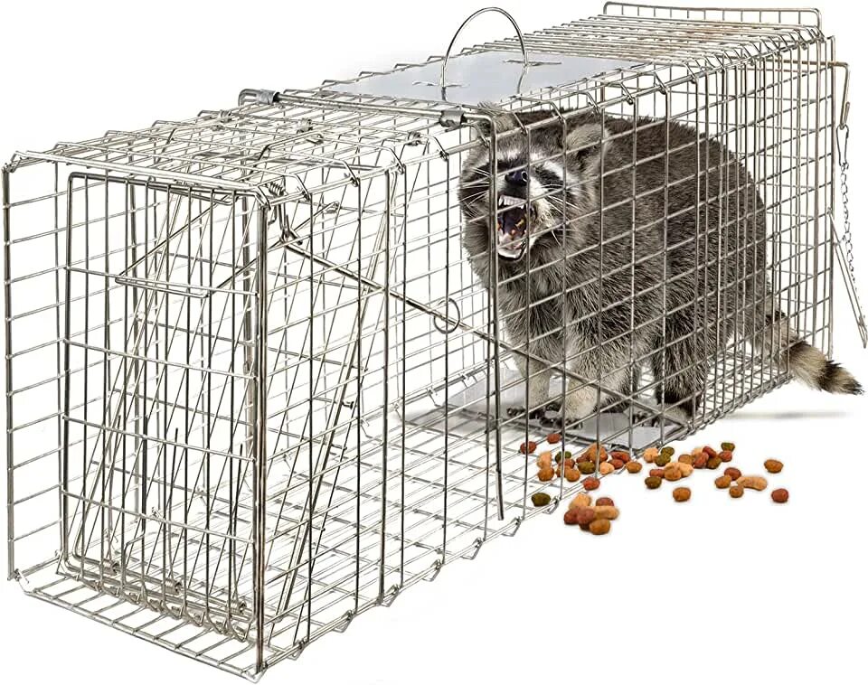 Animal trap. Клетка-ловушка (кошколовка). Ловушки для животных. Крысоловка живоловушка. Клетка животных.
