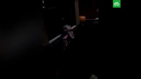 Лил пип причина