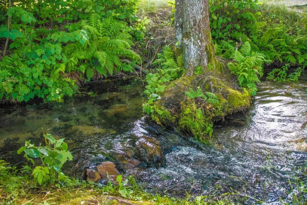 Славгород голубая криница. Воклина вадского озера. Чистая вода. Верное ваду. Ядерный дракон арт.