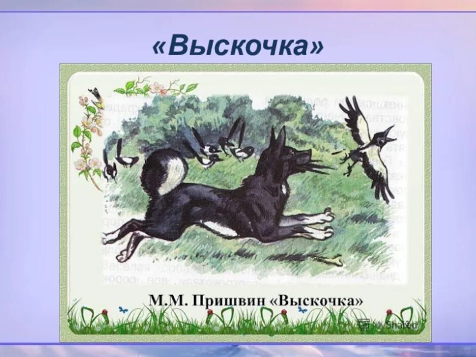 М пришвин выскочка презентация 4 класс. Иллюстрация к рассказу Пришвина выскочка. Иллюстрация к рассказу Пришвина выскочка 4 класс.