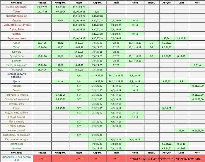 Дни посадки овощей в марте 2024. Сроки посева семян овощных культур на рассаду. Таблица посева овощей на рассаду. Сроки посева овощных культур таблица. Таблица посадки семян цветов на рассаду.