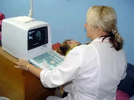 Диспансер электронная
