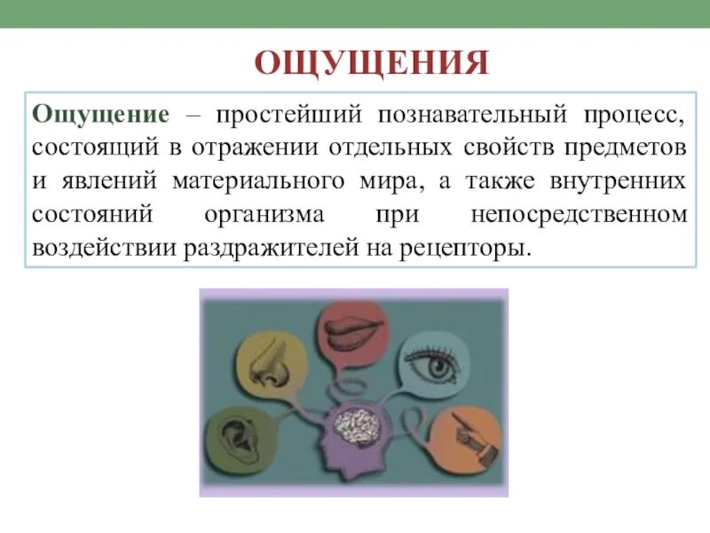 Просто ощущение. Ощущения это простейший познавательный процесс который. познавательные процессы ощущение. отражение отдельных свойств предметов и явлений материального мира. мдк 01.02 познавательные процессы в психологии.
