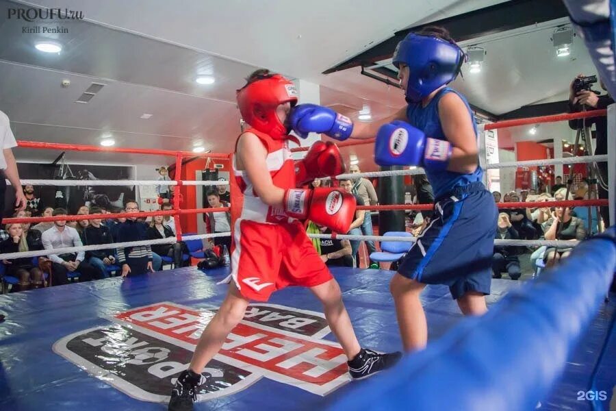 Афиша бокс. Турнир лига клубов бокс екатеринбург. Зал бокса. Rcc boxing екатеринбург. Дивс екатеринбург бокс.