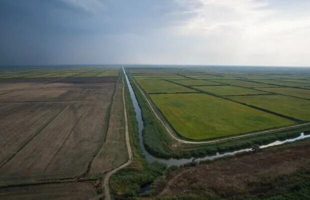 Устье рукава Кубанка Якушкиного гирла Старой Кубани вода, дельта реки