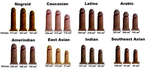Types of penis - Best photos on africalease.org