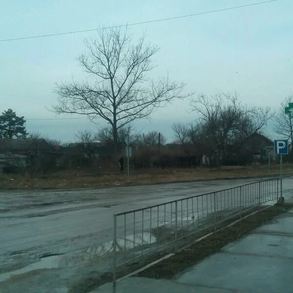 Село золотое поле в крыму фото. Синоптик золотое поле кировский. Золотое поле феодосия. Садик теремок золотое поле. Синоптик золотое поле кировский.