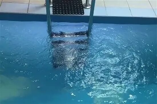 Сауна затон уфа