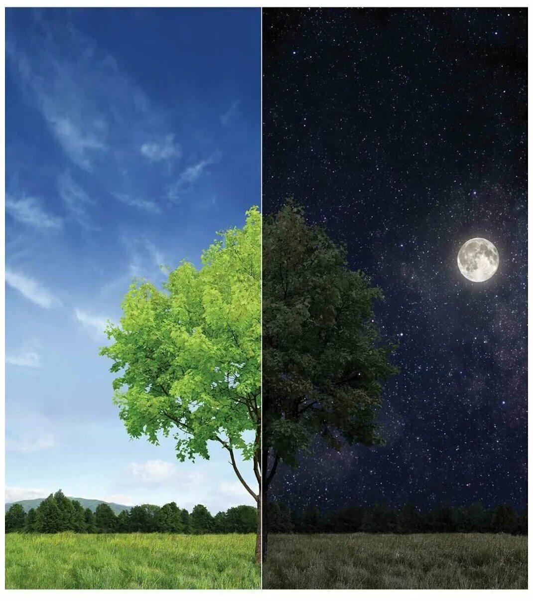 день и ночь картинки. день да ночь сутки прочь. фон день ночь. картина день и ночь. мол день и ночь.