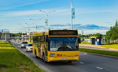 Автобус 515