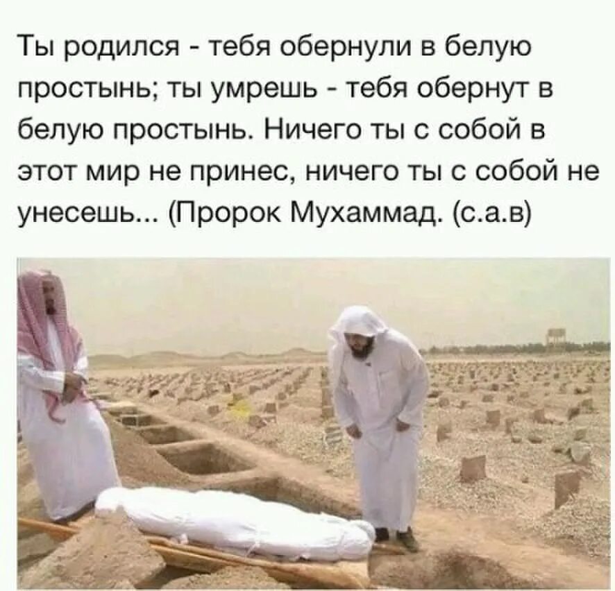 Жизнь рождается жизнь умирает