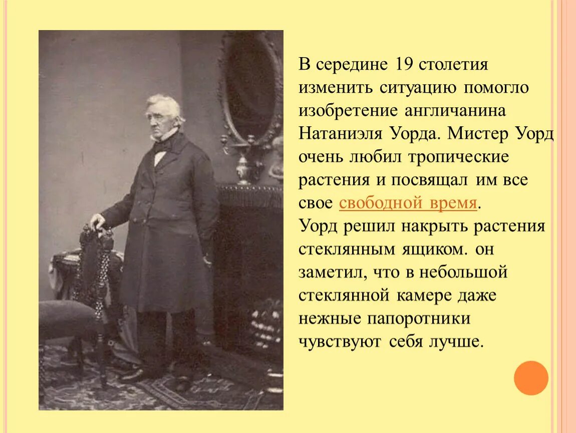 Эссе 19 век в истории. План статьи в середине 19 столетия. Цитаты 19 века. В середине XIX столетия толстой. План рассказа в середине 19 столетия.