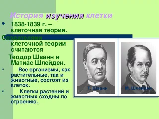 Появление клеточной теории шванна и шлейдена. Теодор шванн и матиас шлейден клеточная теория. клеточной теории шванна и шлейдена 1839. 1838-1839 шванн шлейден. шлейден, шванн - теория клеточного строения (.