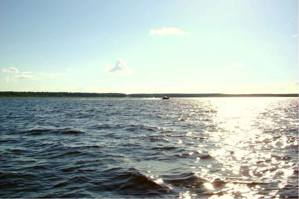 Кременево Рыбинское водохранилище. Михальково Рыбинское водохранилище. База Сокол Рыбинское водохранилище. Людиново Рыбинское водохранилище.