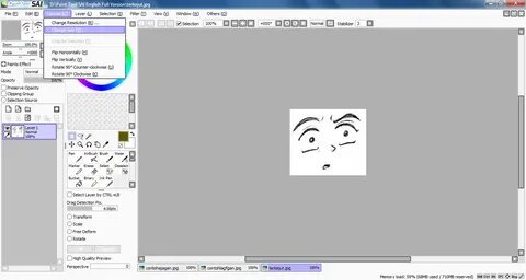 Sai 1