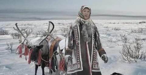 Песня ты уедешь к северным
