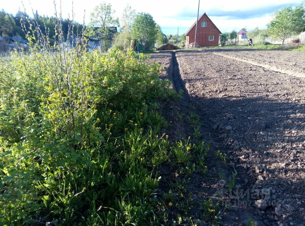 Реж шестой участок. Земельный участок у озера. Участок с домом в лесу. Сот. Снт медик купить участок