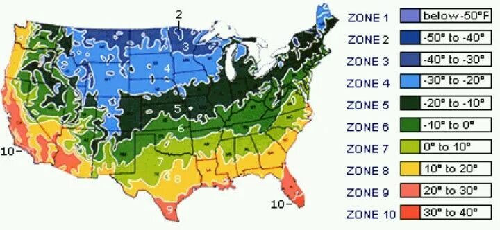 Plant zone. Зоны морозостойкости USDA В России. Зона USDA 5. Карта зон зимостойкости. Карта климатических зон России USDA.