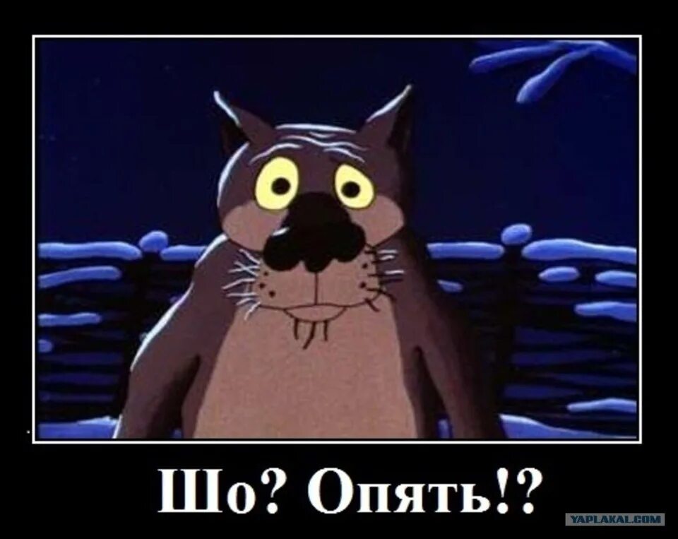 Шо опять. Если что звони или пиши. Ты звони если что. Номер телефона для авто табличка. Ты звони если че.