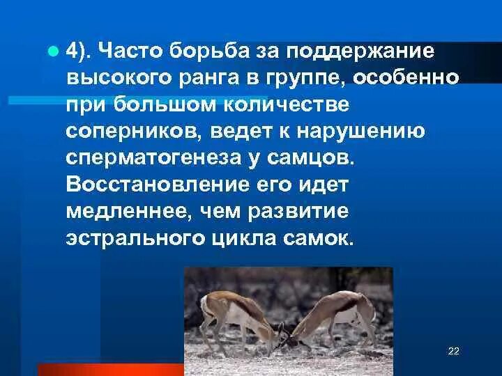 Поддержание популяции. Гомеостаз популяции. мерам по поддержанию популяционного равновесия человечества.