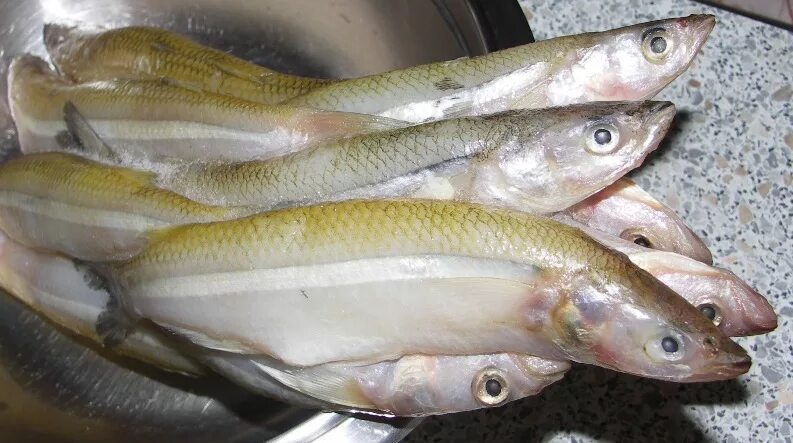 Корюшка свежемороженная, 6кг (FISHLIFE) - купить в интернет-магазине по низкой ц