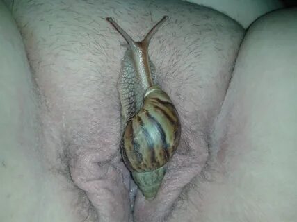 Snail on pussy