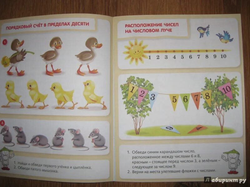 Обведи пятую