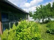 Снт шелухово нижегородская область