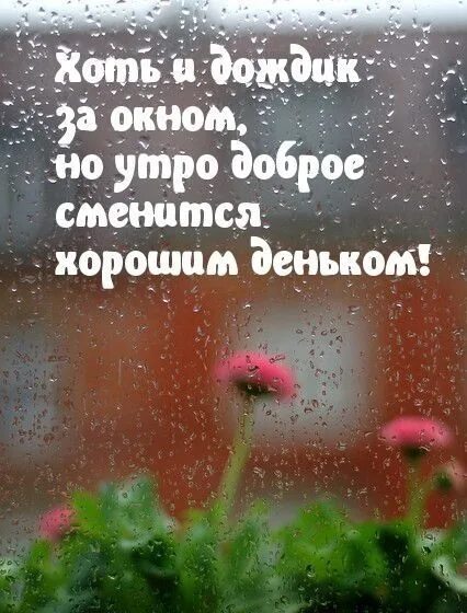 Пасмурное доброе утро картинки с пожеланиями Пин от пользователя Olga Shkadinskaya на доске с добрым утром Открытки, Милые от