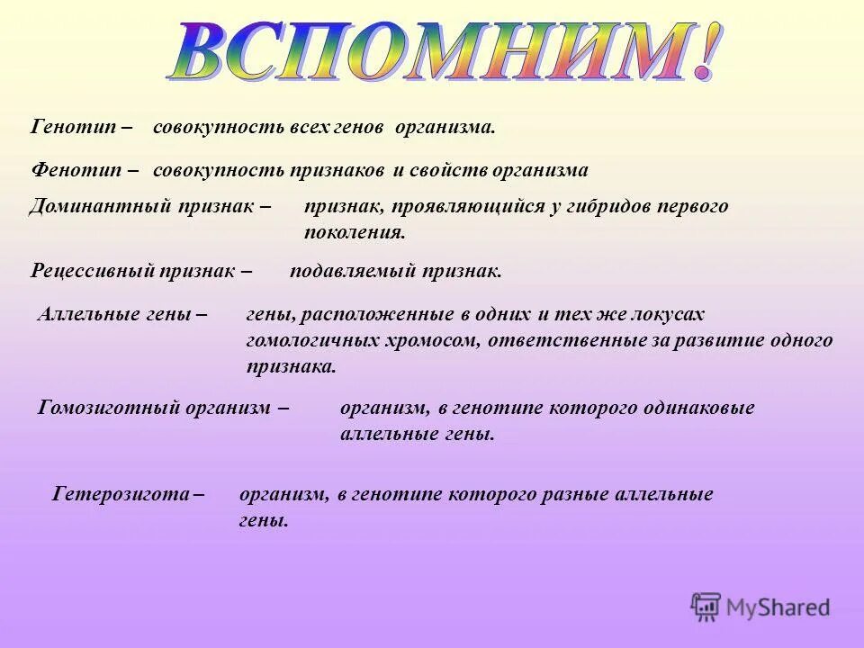 Функция генотипа