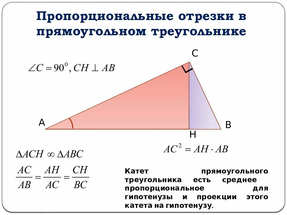Проекция высоты в прямоугольном треугольнике. Пропорциональные отрезки в прямоугольном треугольнике формулы. свойство пропорциональности отрезков в прямоугольном треугольнике. таблица пропорциональных отрезков в прямоугольном треугольнике. пропорциональные отрезки в прямоугольном треугольнике (3 формулы).